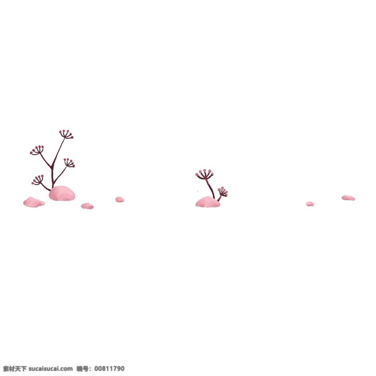 手绘 植物 分割线 插画 植物分割线 粉色 花骨朵 花骨朵分割线 分割线插画