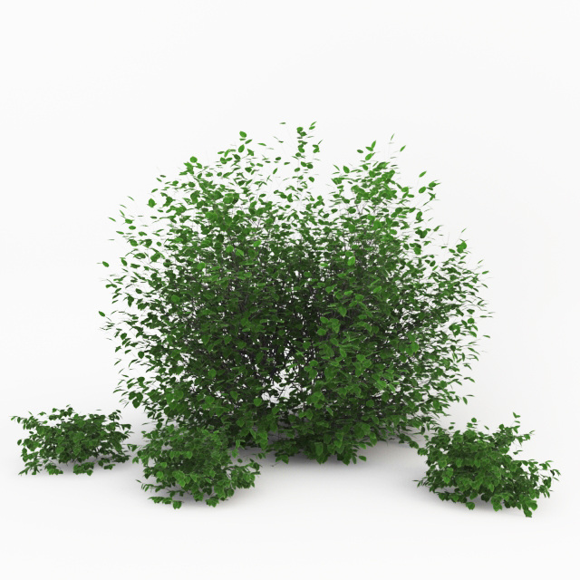 草 盆景 模型 3d模型 效果图 绿色 模型素材 3d渲染