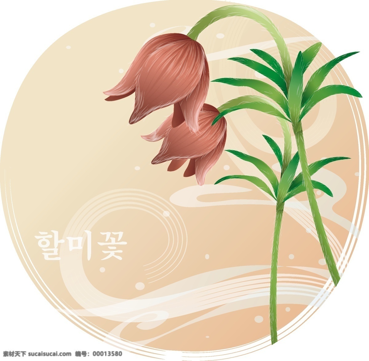 向量 吊 钟花 插图 植物 向量花 倒挂金钟 吊钟花 矢量图 花纹花边