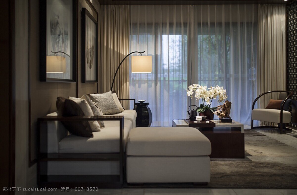 现代 时尚 客厅 浅色 薄纱 窗帘 室内装修 效果图 深色毛毯 卧室装修 白色沙发 落地灯