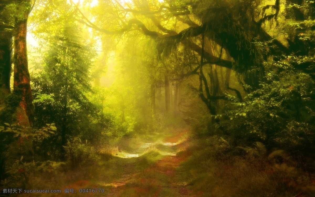 梦幻森林 梦幻 森林 丛林 树林 热带 雨林 童话 唯美 场景 背景 高清 合成 自然景观 自然风光