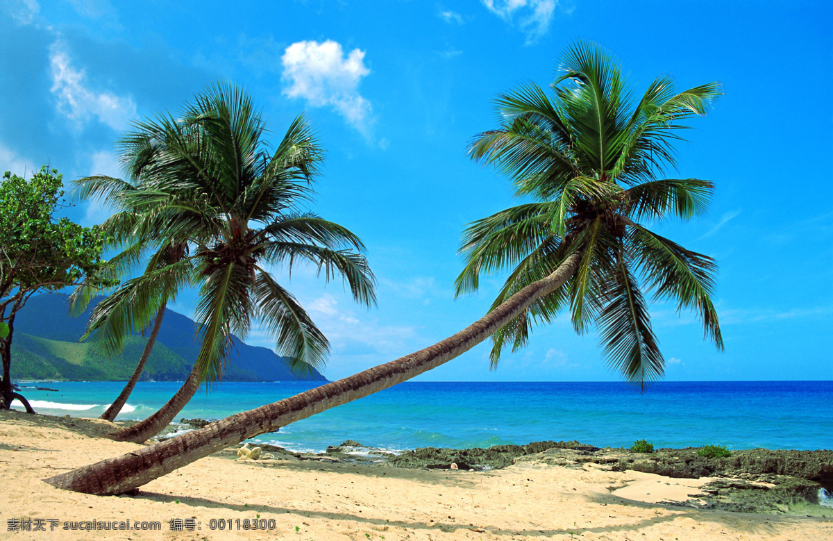 椰子树 海边 海岛 海景 大海 海滩 海洋 旅游胜地 沙滩 蓝天 白云 景观 美景 风光 风景 蔚蓝 蓝色 天堂 唯美 梦幻 壁纸 仙境 旅游 度假 清澈 加勒比海 美丽自然 自然风景 自然景观