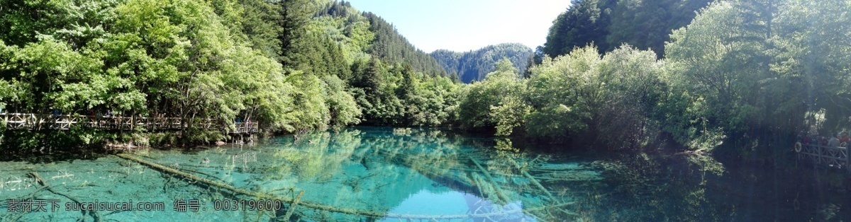 九寨沟风景 九寨沟 漂亮风景 绿色湖泊 九寨沟山水 自然景观 山水风景