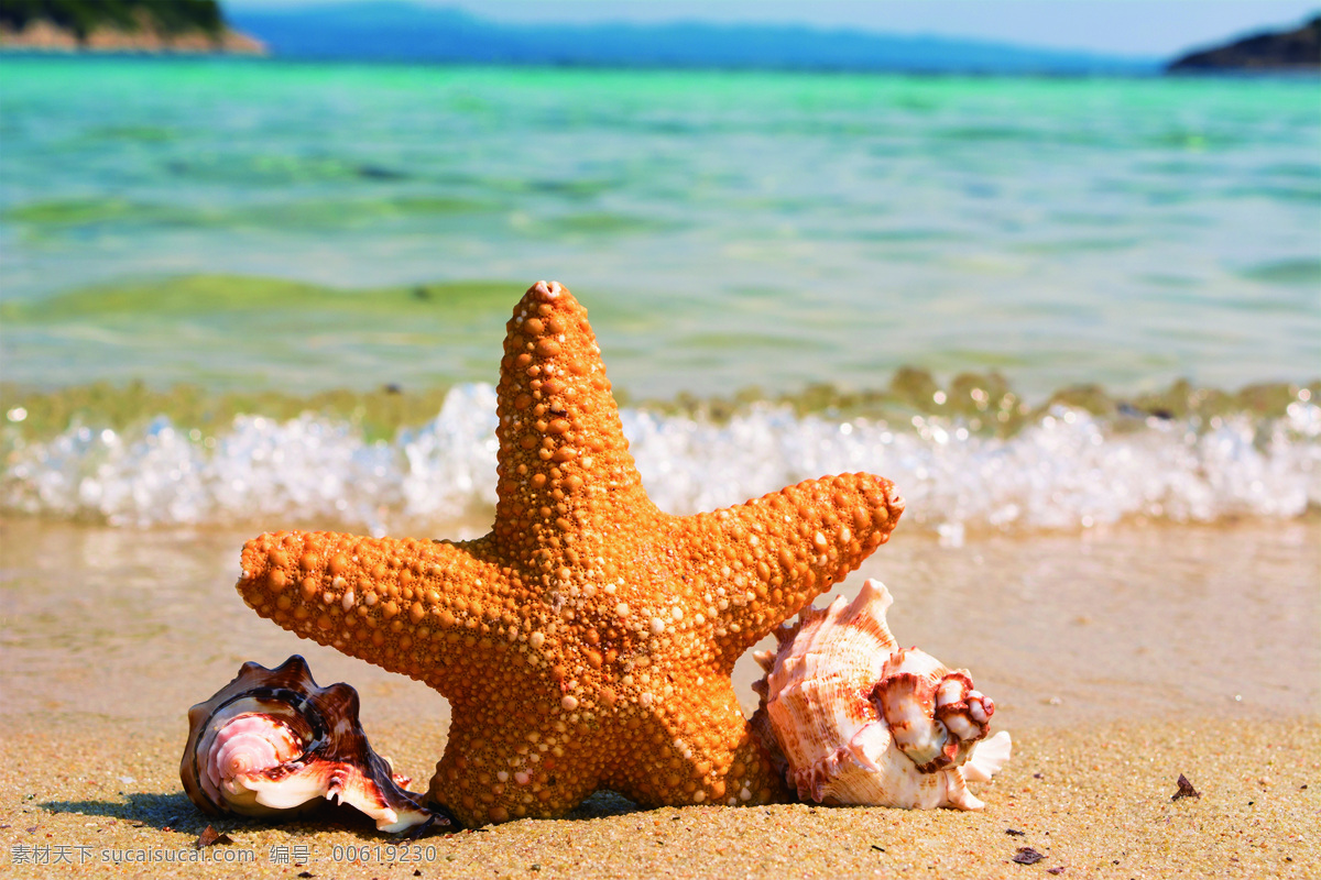 海星 沙滩 大海 贝壳 大海元素 海螺 三亚元素 海水 风景 自然景观 自然风景