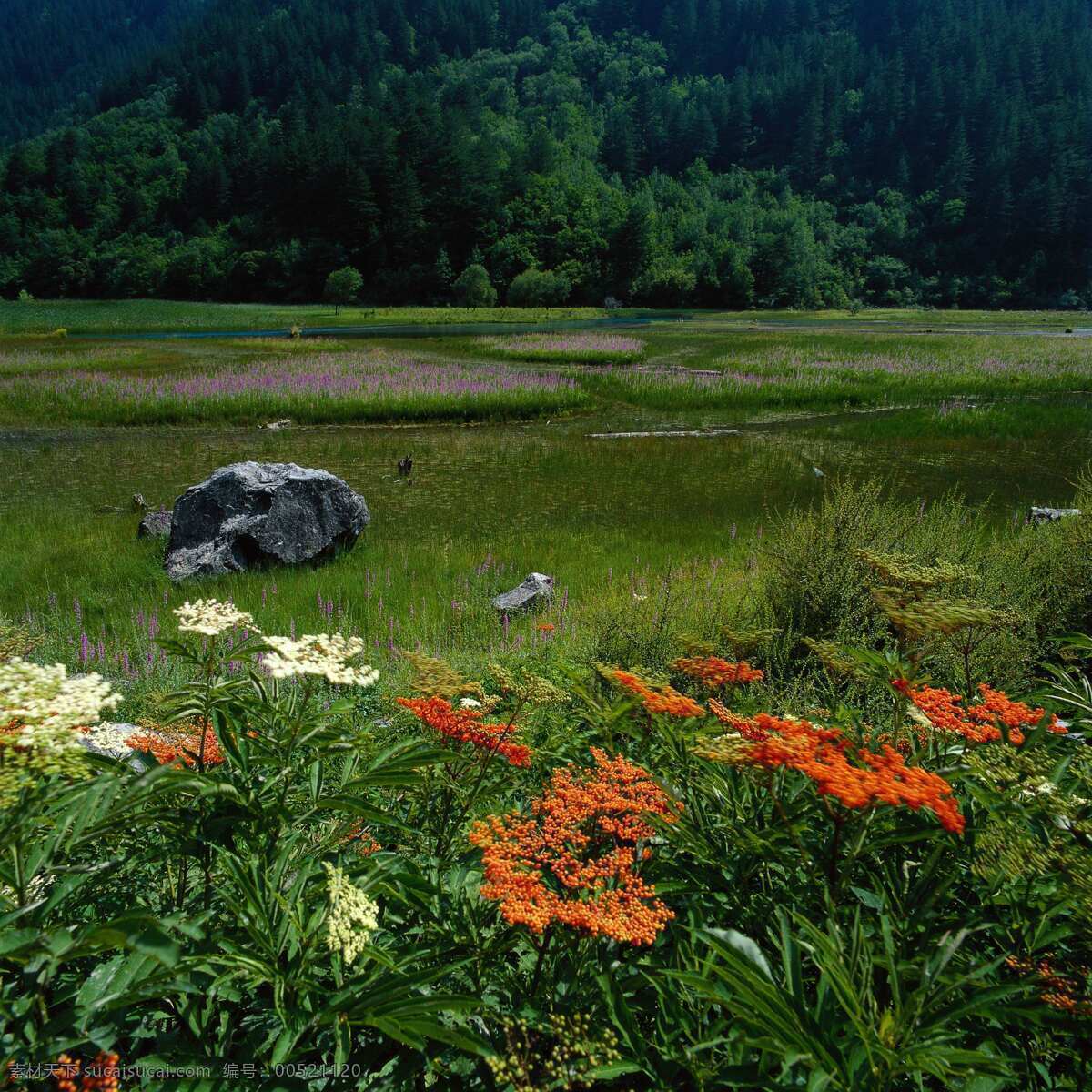 风景 图 风景名胜 风景图 高清 绿叶 美景 山水风景 滕蔓 自然风光 自然风景 自然景观 巨幅风景图片 家居装饰素材 山水风景画