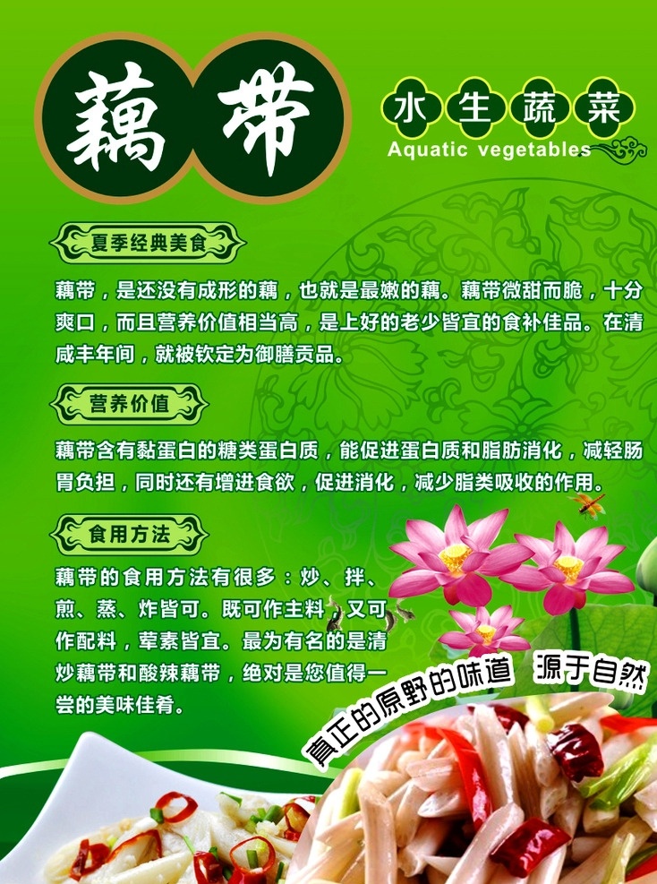 藕带 营养 水生蔬菜 夏季 健康 饮食 绿色 莲花 展板