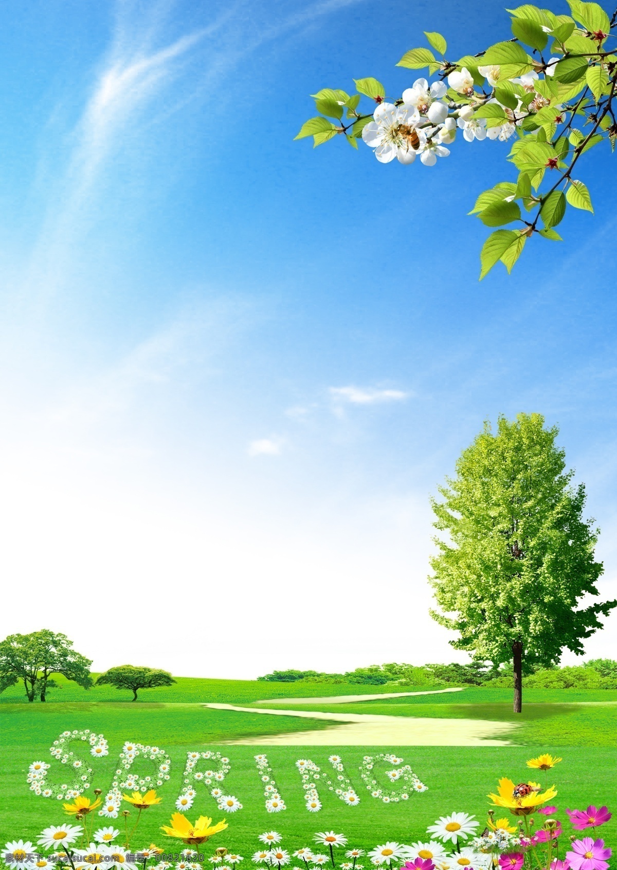 蓝天白云草地 蓝色背景 绿色背景 花草背景 卡通素材 卡通背景 卡通 草地 蓝天 白云 天空 蓝天白云 背景素材 背景图片 背景图 展板背景 红色背景 沙滩背景 名片背景 粉色背景 天空素材 海边 白云素材 花草素材 蓝天背景 名片素材 贝壳 沙滩 草地素材 蓝天草地 彩页背景 单页背景 展板素材