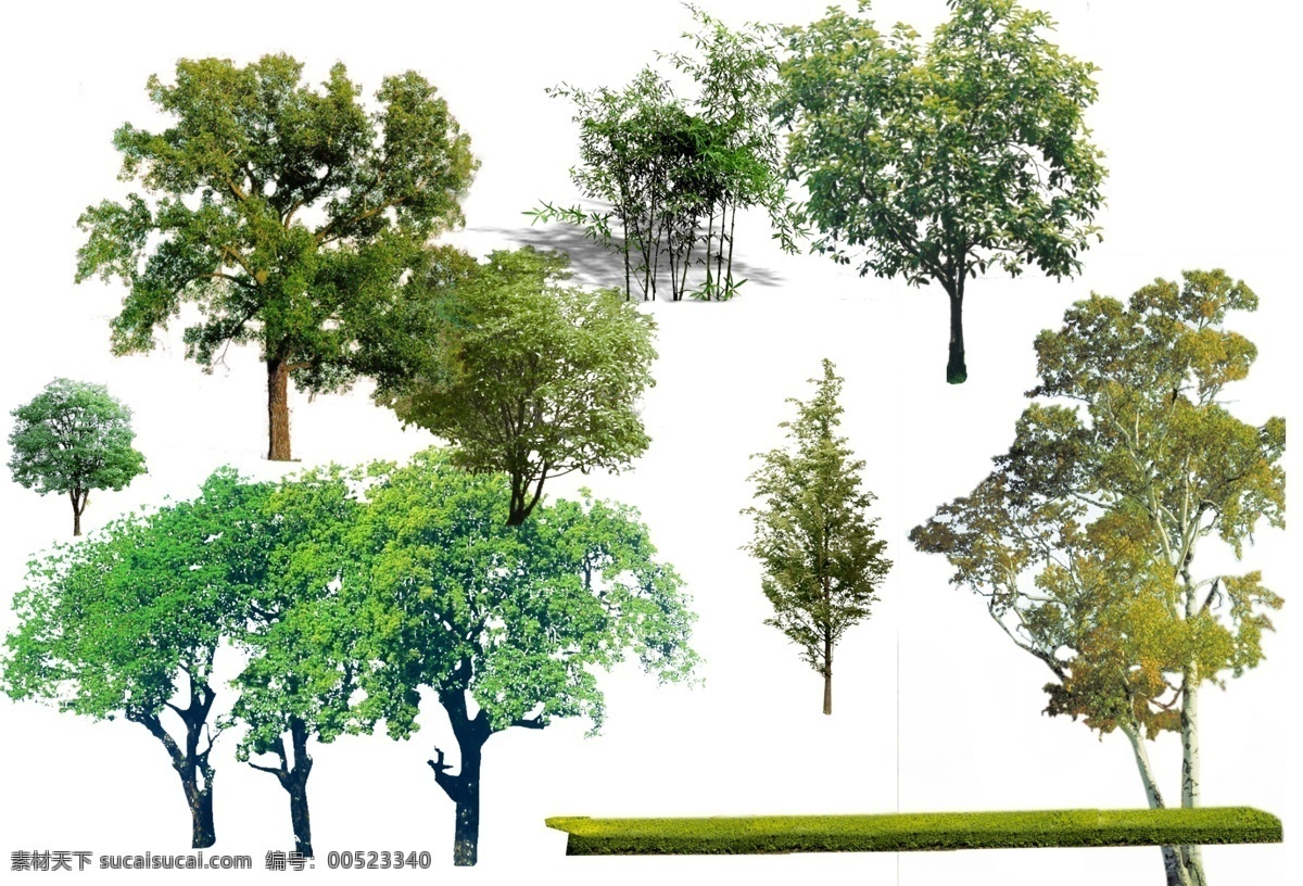 室外 效果图 后期 植被 源文件 psd素材 ps源文件 植物素材 植物分层素材 ps 文件 ps分层文件 psd源文件