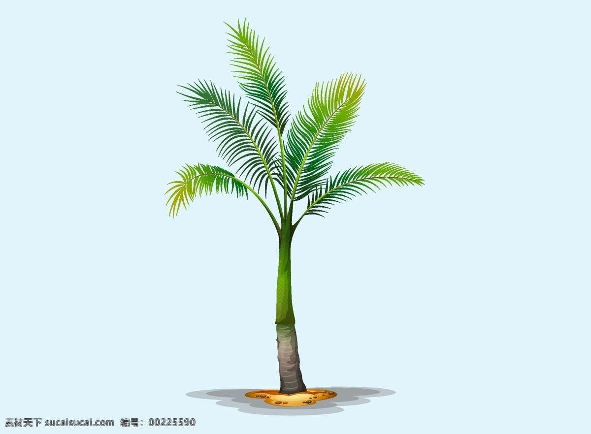 椰子树手绘 椰子树卡通 热带植物 热带植物卡通 热带植物手绘 卡通植物 树手绘 树卡通 大树 树元素 绿色植物 卡通大自然 蘑菇树木 植物元素 大树卡通 大树矢量 元素