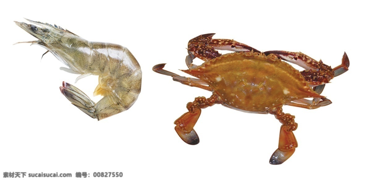 梭子蟹和对虾 海鲜 虾 蟹 莱州海鲜 梭子蟹 对虾 生物世界 海洋生物