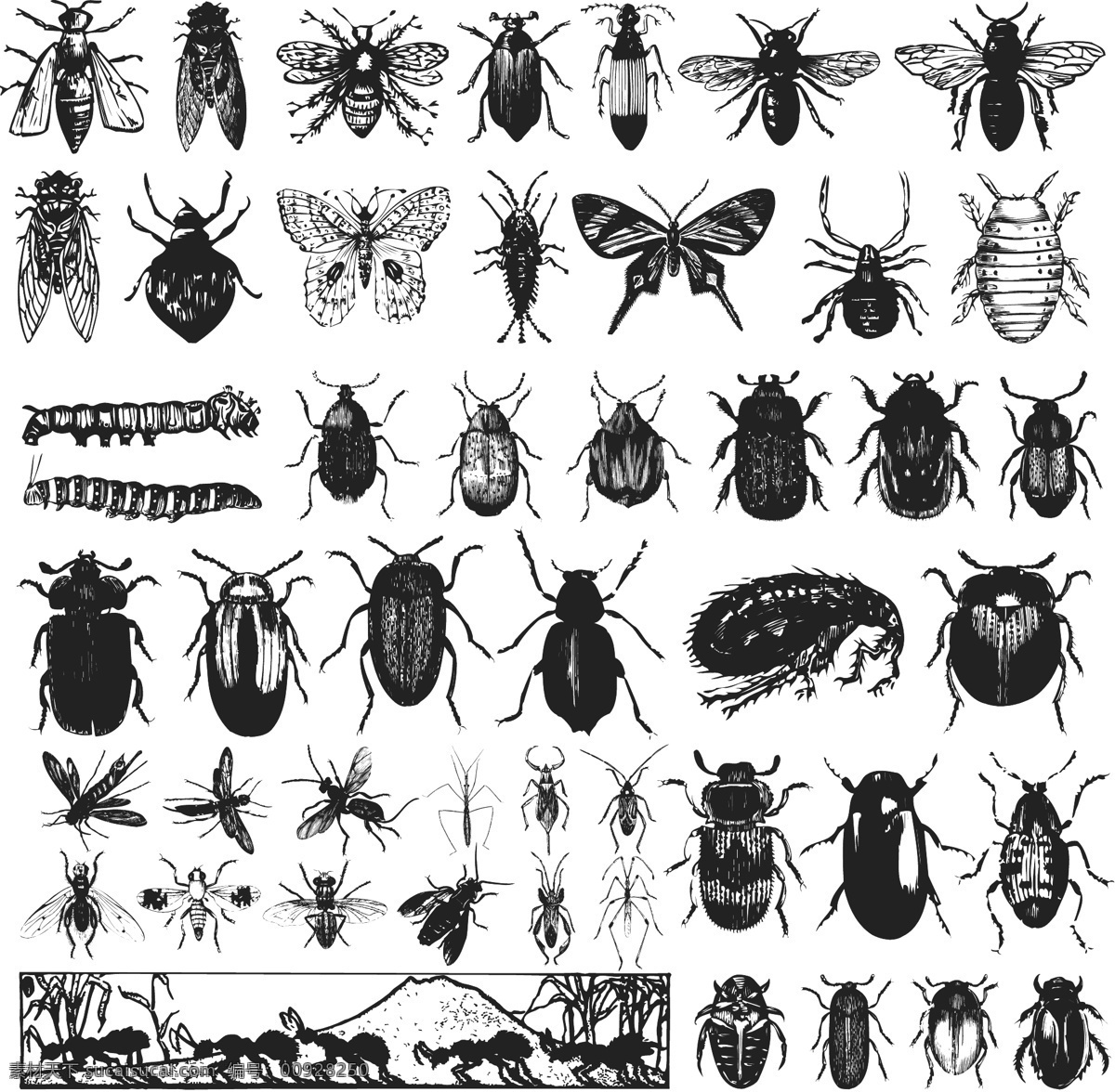 昆虫 蝴蝶 蝉 黑白 标本 水牛 毛毛虫 甲壳虫 动物图形元素 野生动物 生物世界 矢量