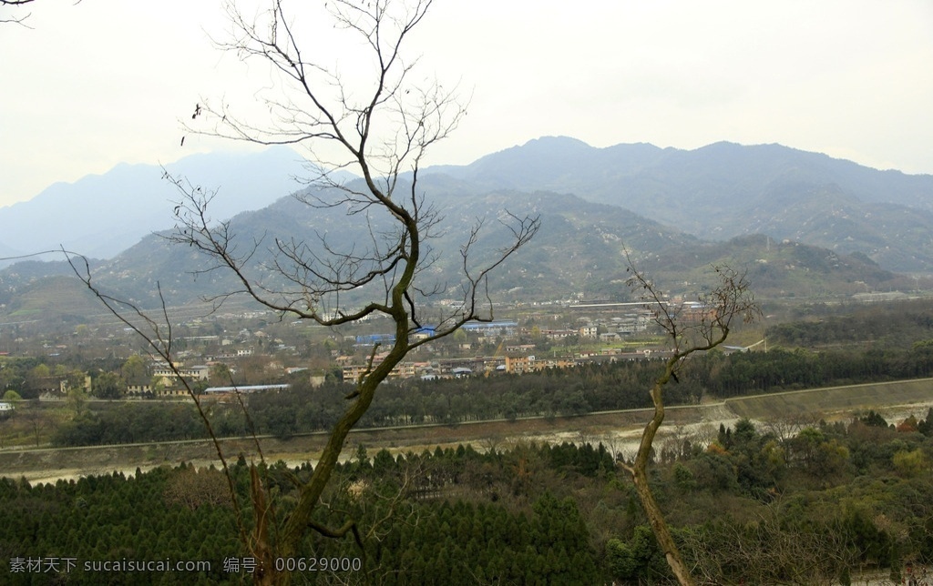 绿山 树木 树林 林区 林业 森林 绿林 山林 林业区 青山绿水 青山 山区 大山 自然景观 山水风景