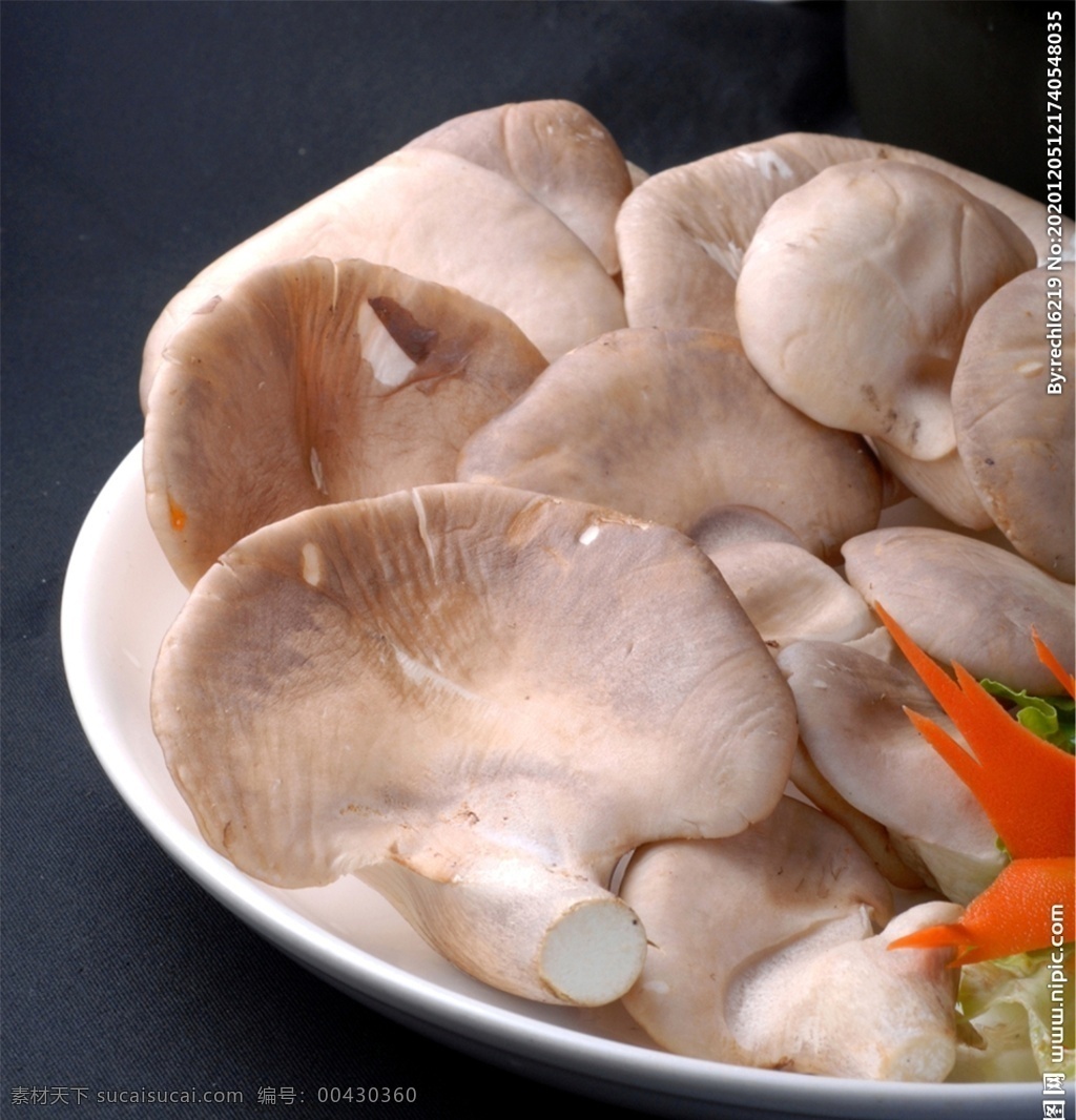 鲜 菌 鲍鱼 菇 鲜菌鲍鱼菇 美食 传统美食 餐饮美食 高清菜谱用图