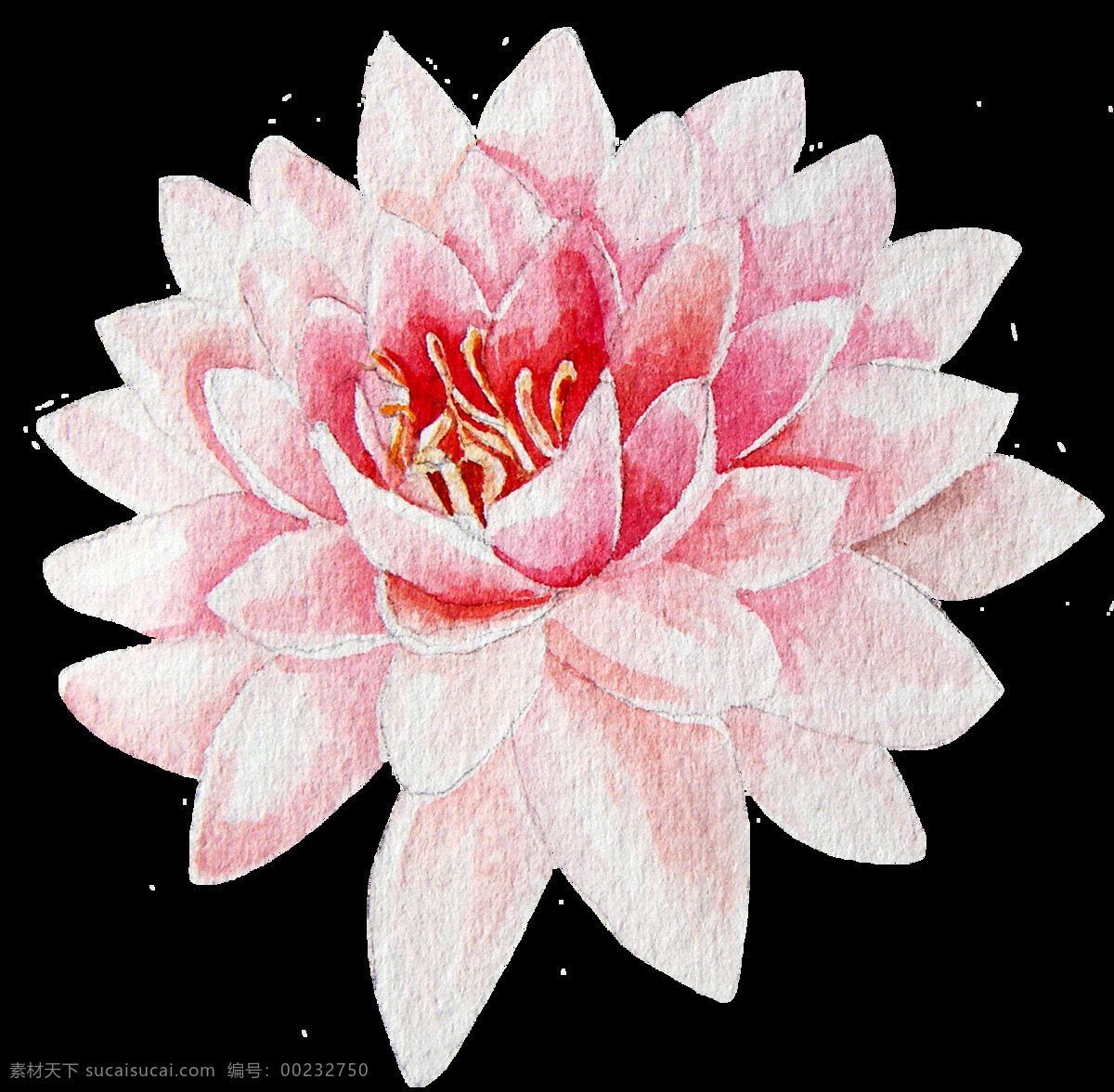 手绘 朵 美丽 荷花 透明 淡雅 粉红色 渐变 免扣素材 清新 盛开 水彩 透明素材 装饰图案