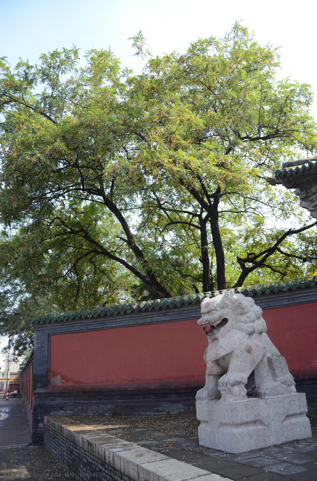 永祚寺石狮子 永祚寺 石狮子 红墙绿瓦 山门 景观景点 古建筑 旅游 景点 老 街 旅游摄影 国内旅游 山西