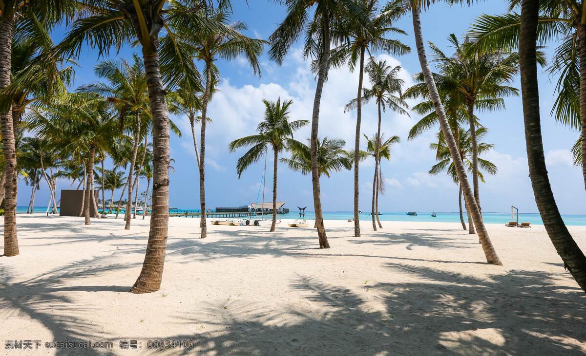 沙滩 椰林 海滩 水 旅游 旅游摄影 国外旅游