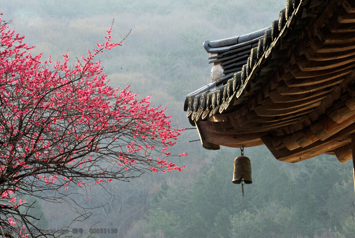 韩国 庆尚南道 求 礼 求礼 开春 古建筑 旅游摄影 国外旅游