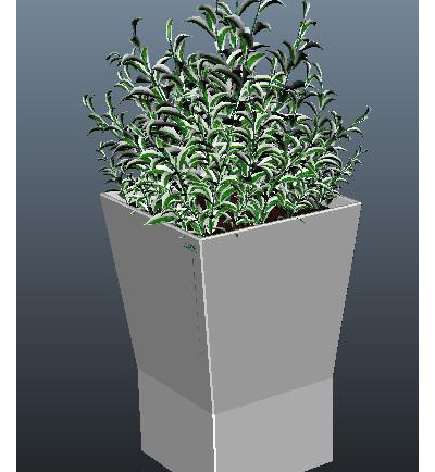 3d 植物 模型 3d模型 3d设计模型 3d素材 max 绿色树木 绿色植物 树 树木 源文件 3d模型素材 游戏cg模型