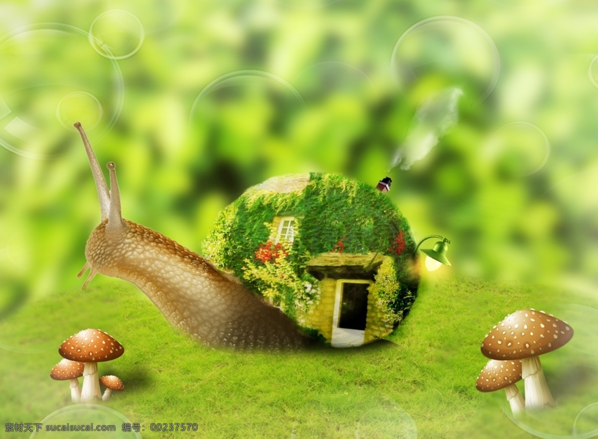 蜗牛 背 房子 合成 图 背房子 梦幻 创意 合成图