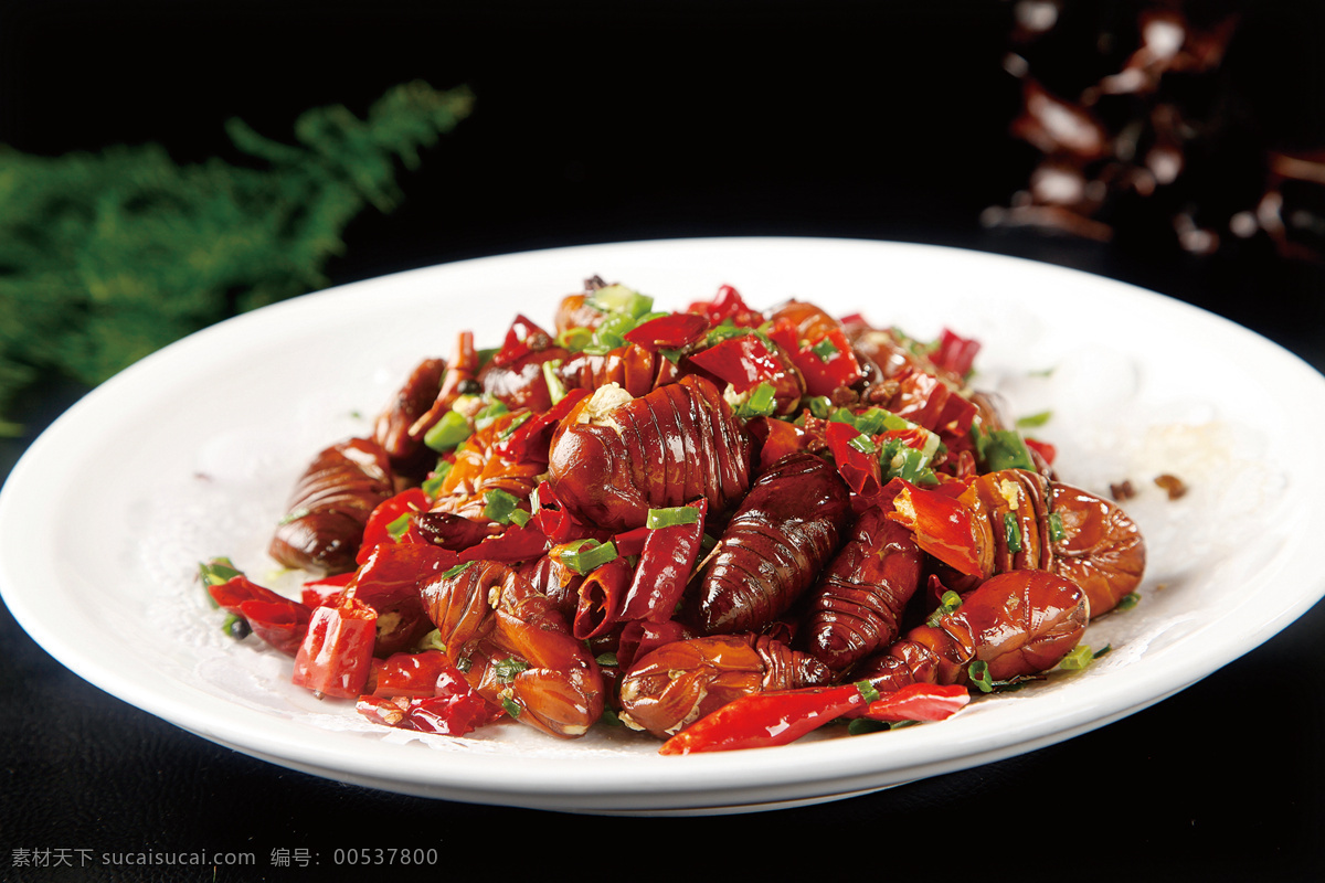 爆炒蚕蛹 蚕蛹 菜式 菜品 传统美食 餐饮美食 高清菜谱用图