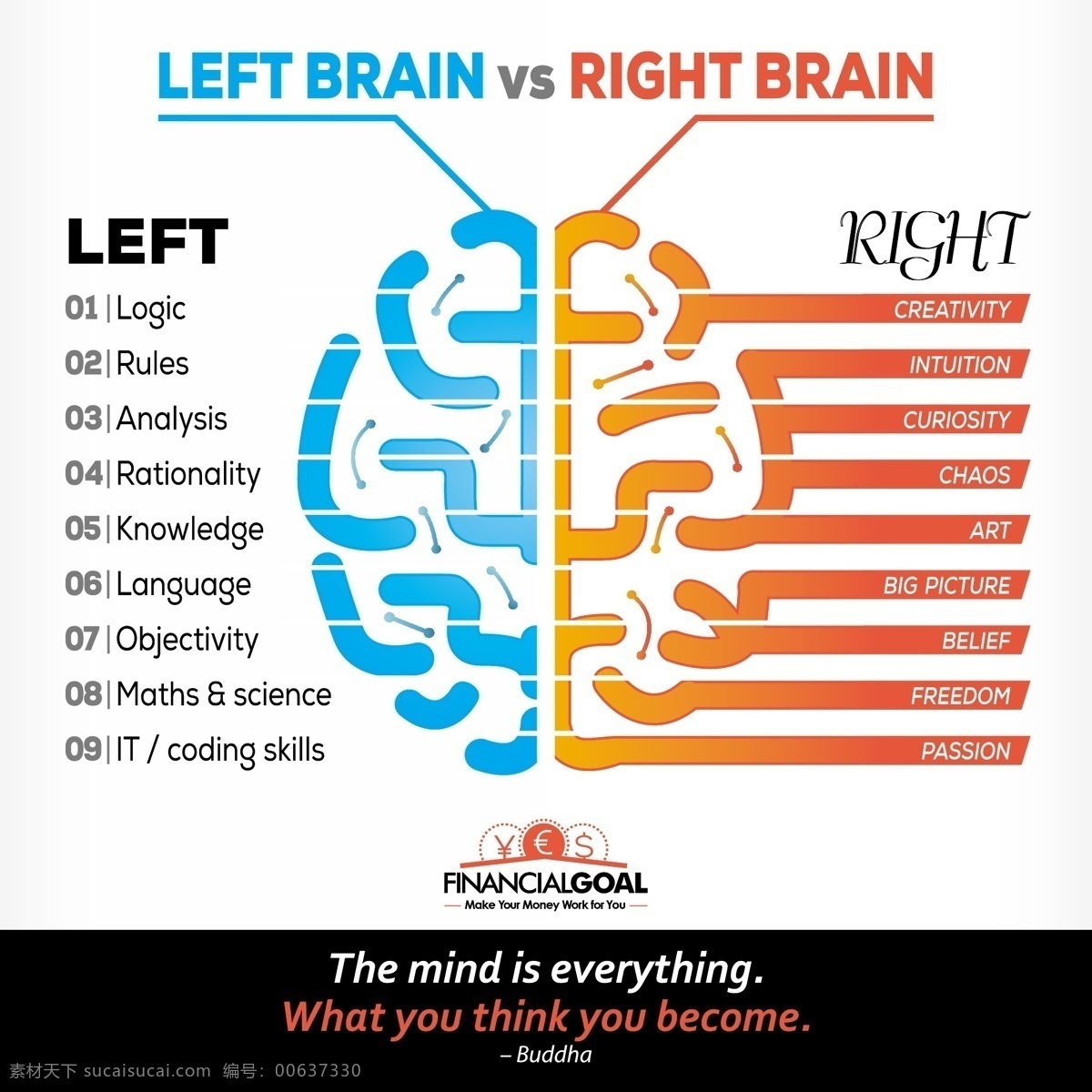左脑和右脑 大脑 左脑 右脑 白色