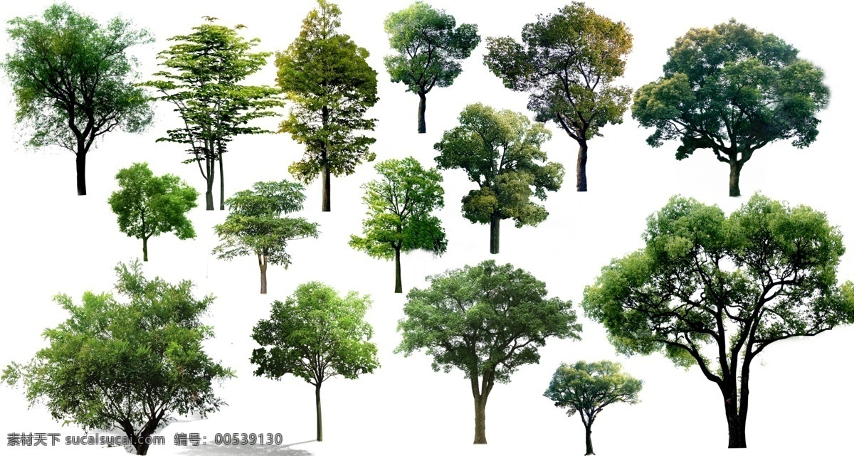 分层 花草 绿化 树 树木 园林设计 源文件 乔木 模板下载 乔木素材 公路绿化 家居装饰素材 园林景观设计