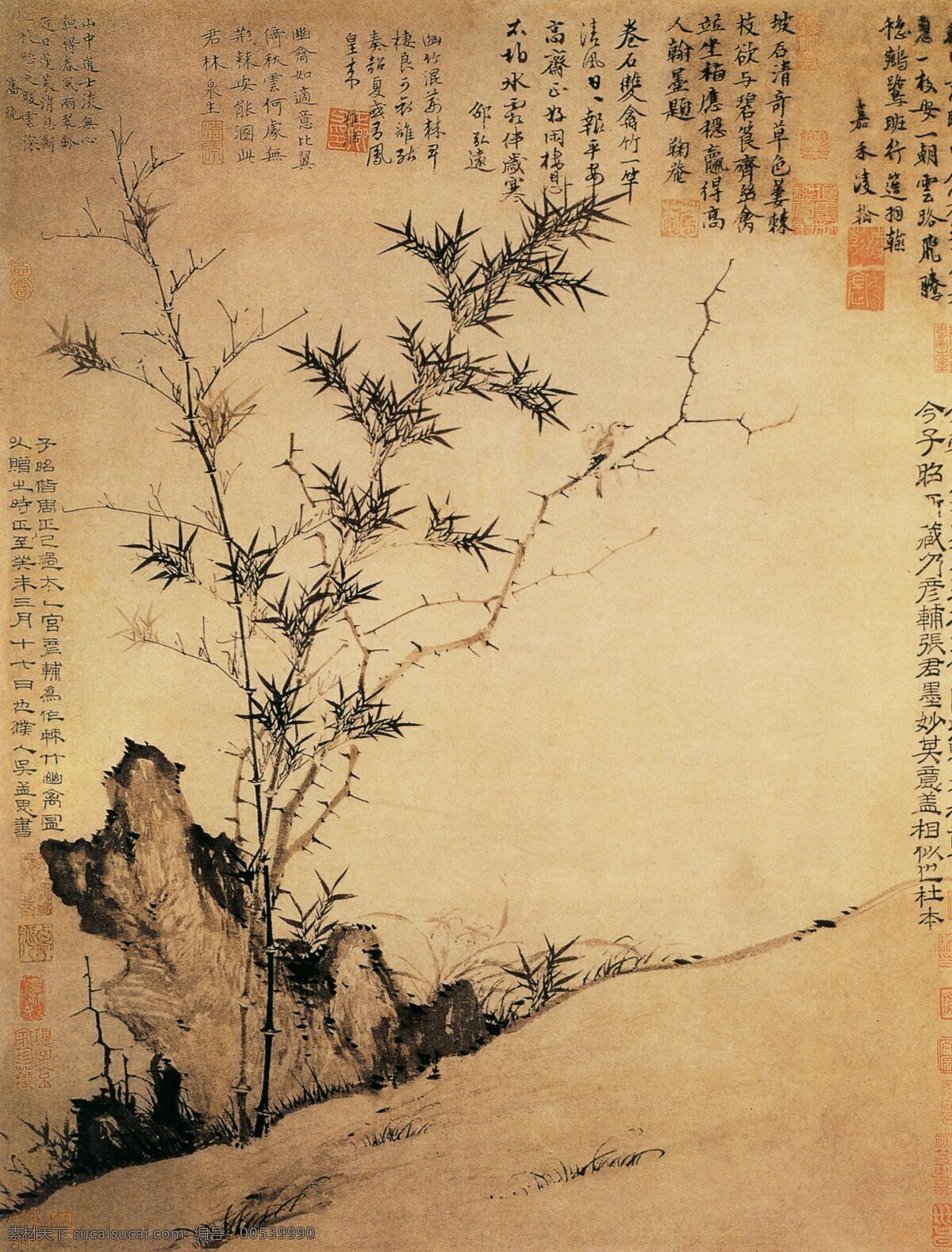 棘 竹 幽 禽 图 300 国画 国画花鸟 花鸟 绘画书法 设计图库 文化艺术 竹子 棘竹幽禽图 矢量图 日常生活