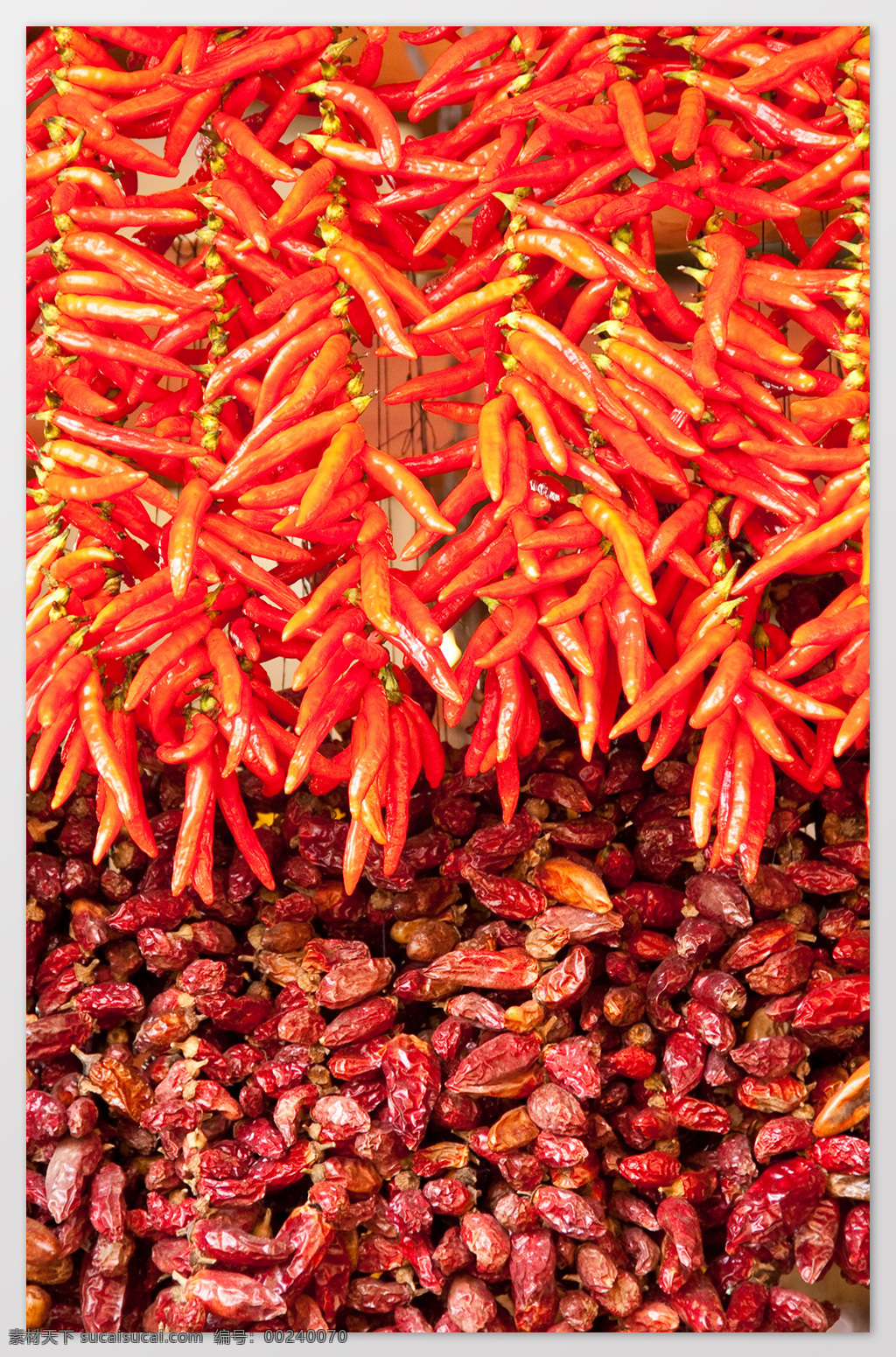 辣椒 红椒 配料 背景 海报 素材图片 食物 中药 水果 类 餐饮美食