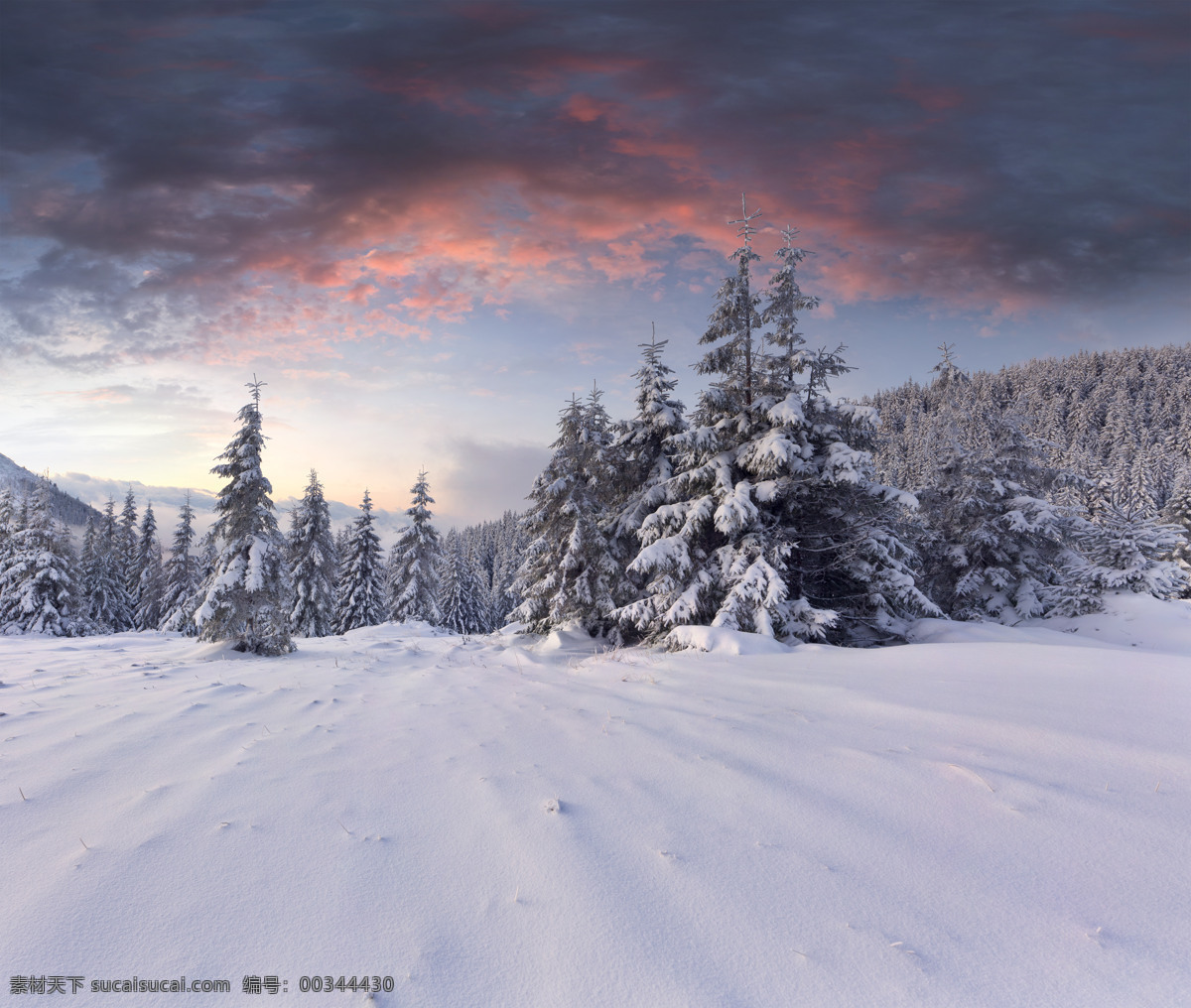 雪地与树林 冬天雪景 雪地 森林雪景 树林雪景 风景摄影 美丽风景 自然风景 自然景观 灰色