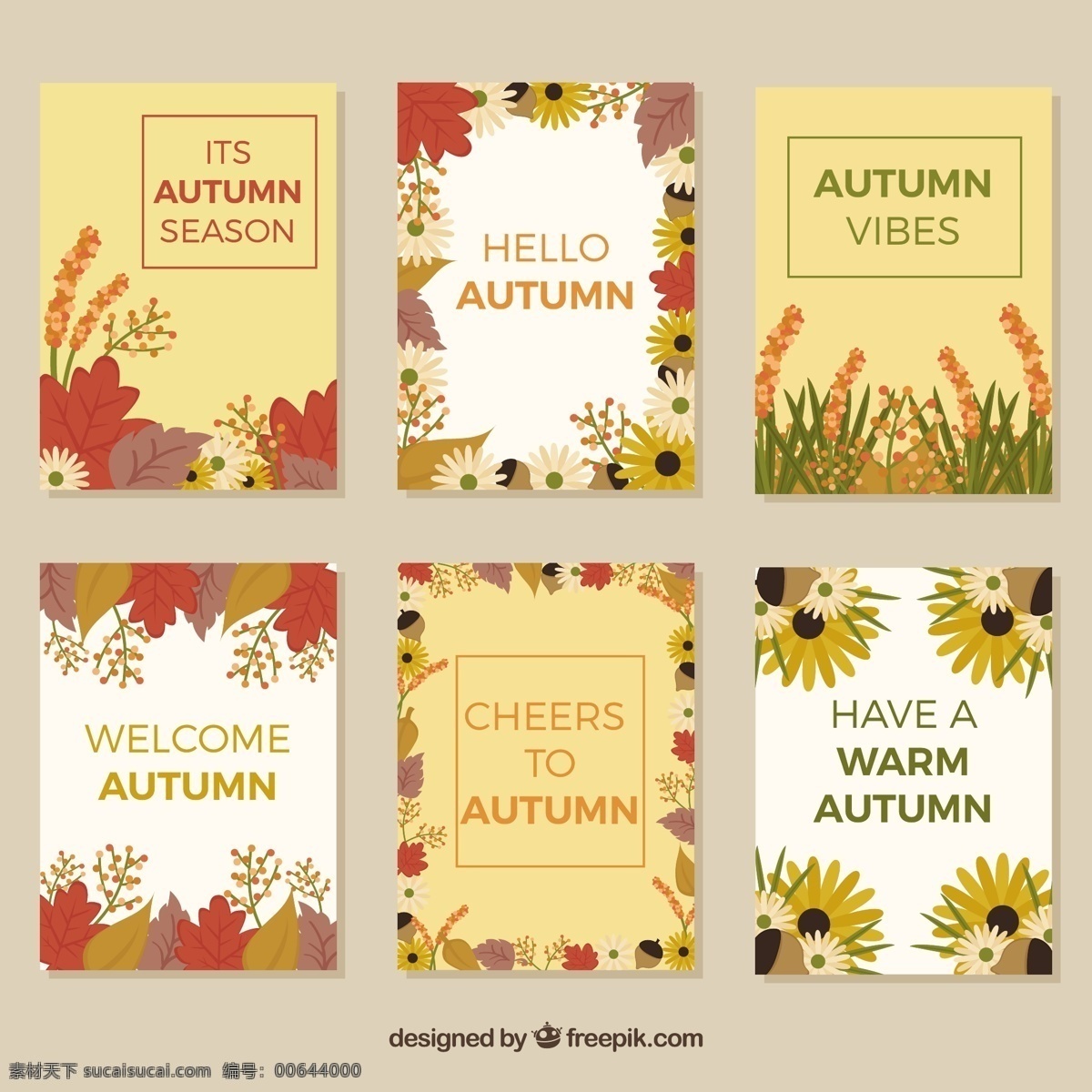 带 花 秋季 卡片 收藏 花卉 贺卡 模板 叶 自然 可爱 秋天 树叶 花园 五颜六色 平 现代 平面设计 有趣 卡 酷