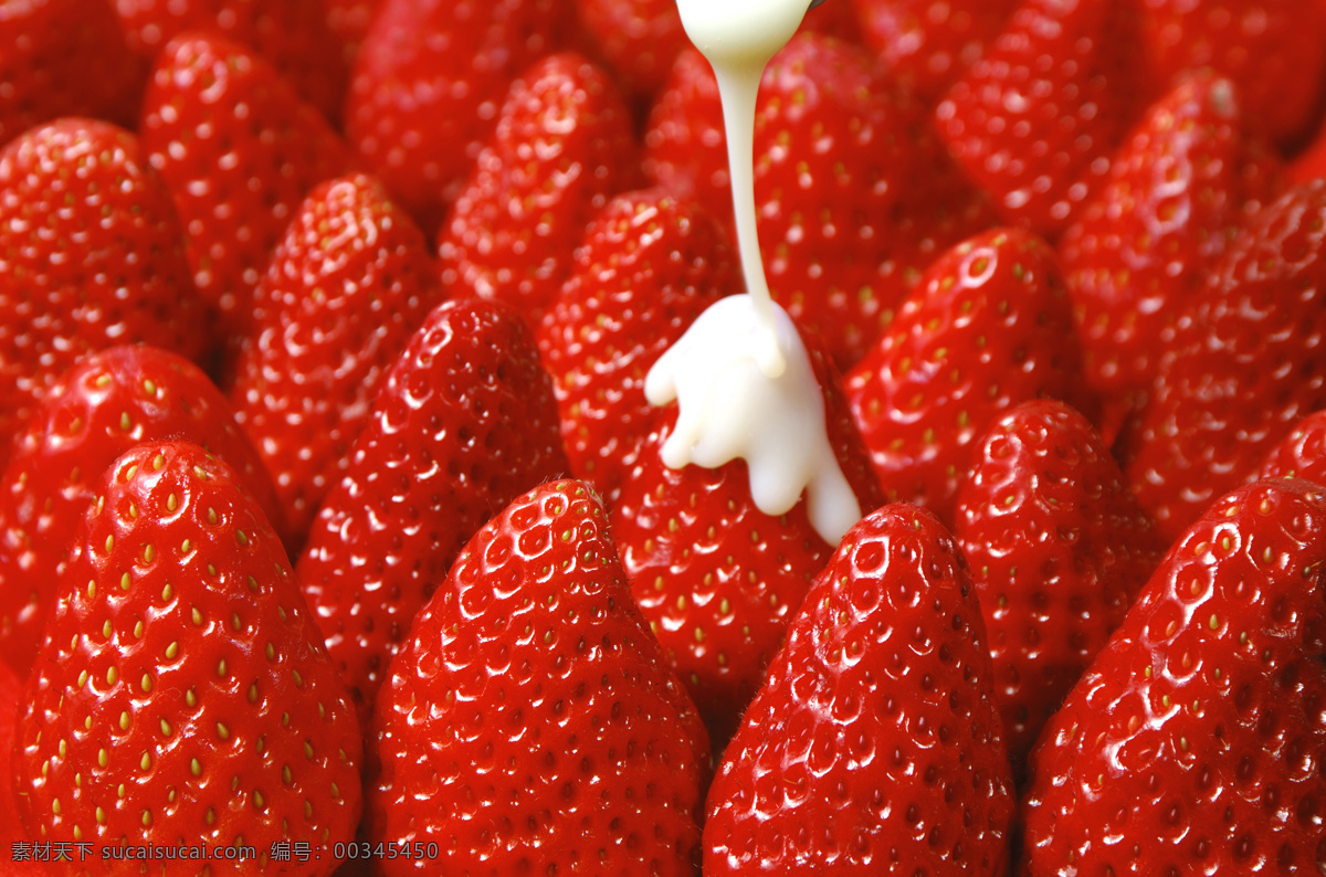 水果免费下载 草莓 高清 红色 奶油 水果 诱人 很多 风景 生活 旅游餐饮