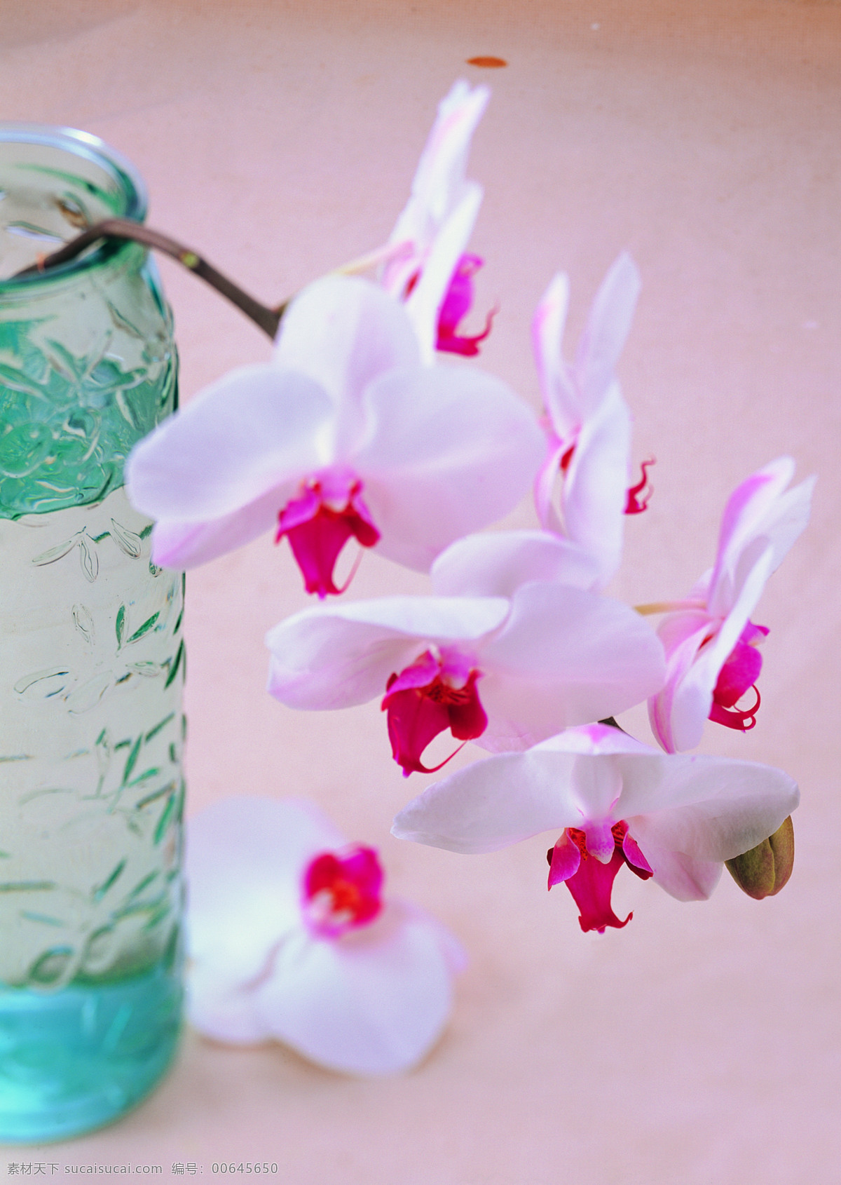 花艺 摆设 花 花卉 鲜花 花艺摆设