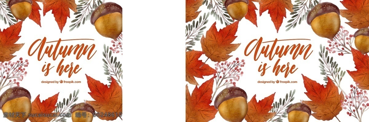 橡子 树叶 水彩 组成 背景 花卉 自然 花卉背景 水彩背景 可爱 秋天 五颜六色 丰富多彩 树木 色彩 自然背景 有趣 植物