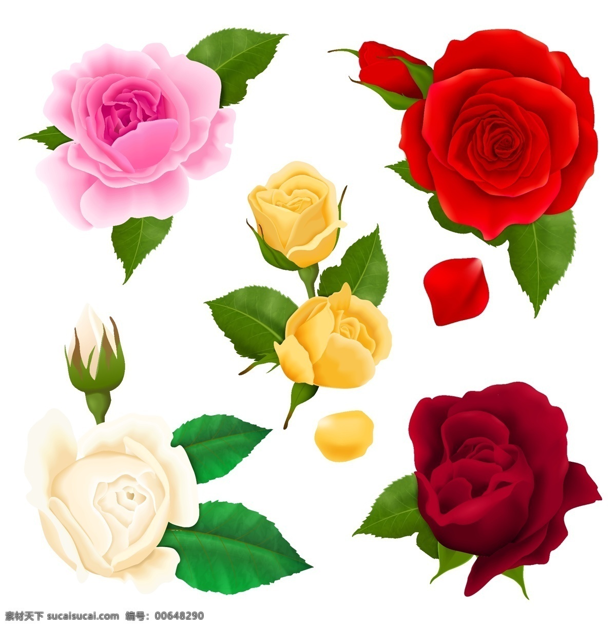 水彩玫瑰花 玫瑰花 水彩 手绘 花朵 淡彩 花背景 花素材 玫瑰 生物世界 花草