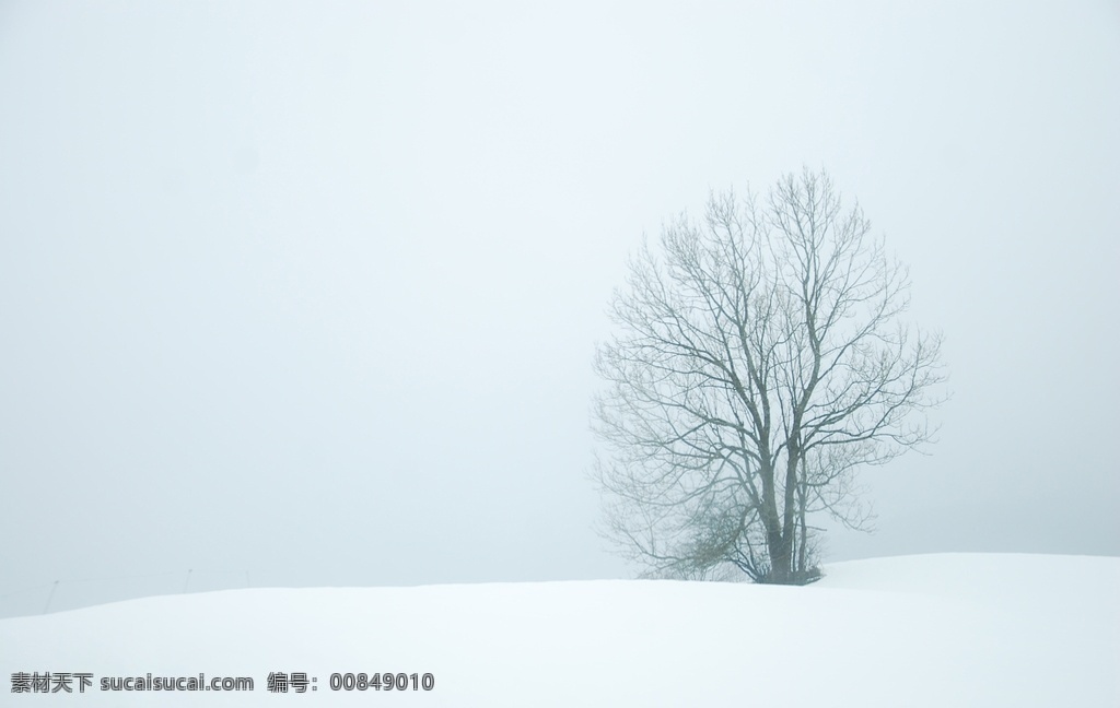 雪地图片 雪地 东北 北方 下雪 冬天 冰挂 极地 极地气候 雨雪天 严寒 寒冬 堆雪 冬季 寒冷 寒冷季节 沉寂 冷清 冬眠 过冬 冬天街道 冷 冰冷 森林 雪地森林 旅游摄影 自然风景