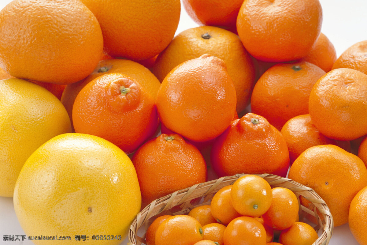 新鲜 水果 橙 丰收 农产品 农业 生物世界 收获 新鲜水果 葡萄柚 种植 生物技术 盛产 矢量图 日常生活