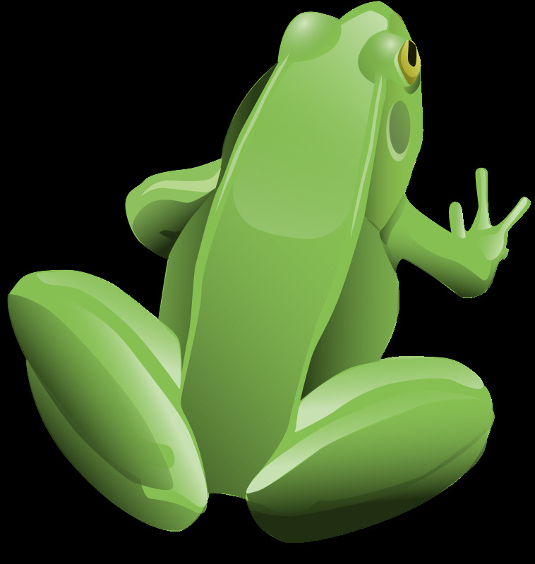 酷蛙免费下载 顶 动物 绿 青蛙 森林 蟾蜍 视图 插画集