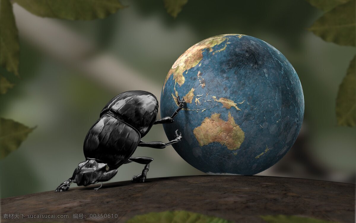滚动地球 屎壳郎 滚动 地球 桌面 背景 生物世界 昆虫