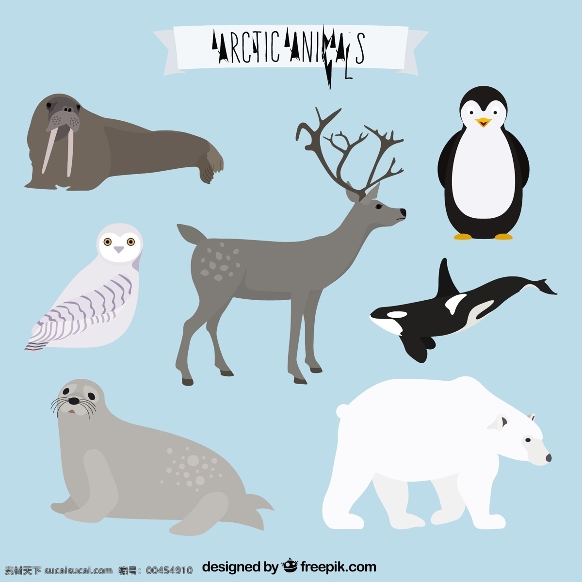 北极动物系列 海 动物 狮子 猫头鹰 熊 鸟 鹿 海豹 企鹅 生命 鲸鱼 野生 北极熊 海洋狮子 青色 天蓝色