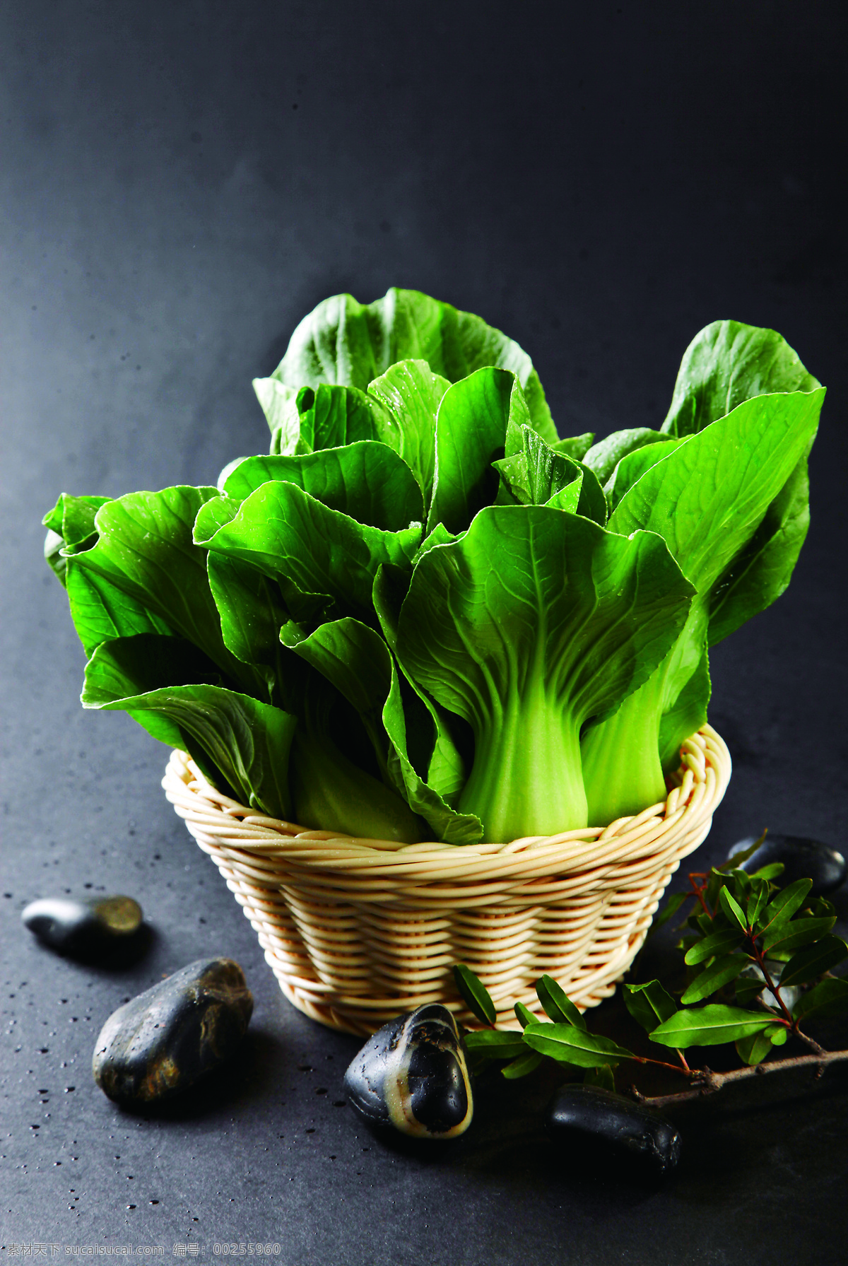 青菜 新鲜蔬菜 菜叶 绿色蔬菜 食材 油菜 餐饮食材图片 餐饮美食 食物原料
