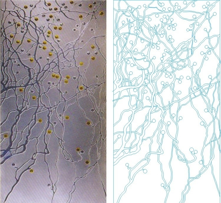 金银果 树 根 抽象 艺术玻璃 白描 线稿 工艺玻璃 彩雕玻璃 矢量 刻绘 雕刻 激光图 隔断 背景 建筑家居