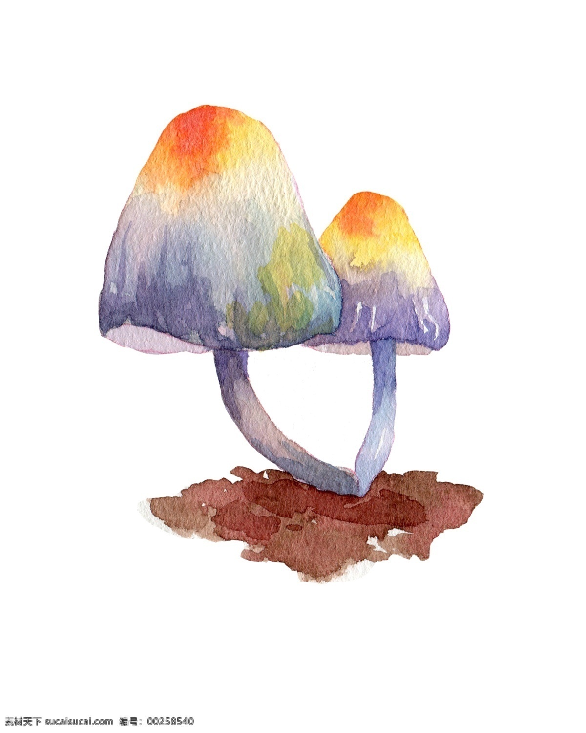 卡通 手绘 插画 水彩 秋天 秋季 菌类 秋日 蔬菜 蘑菇 食物