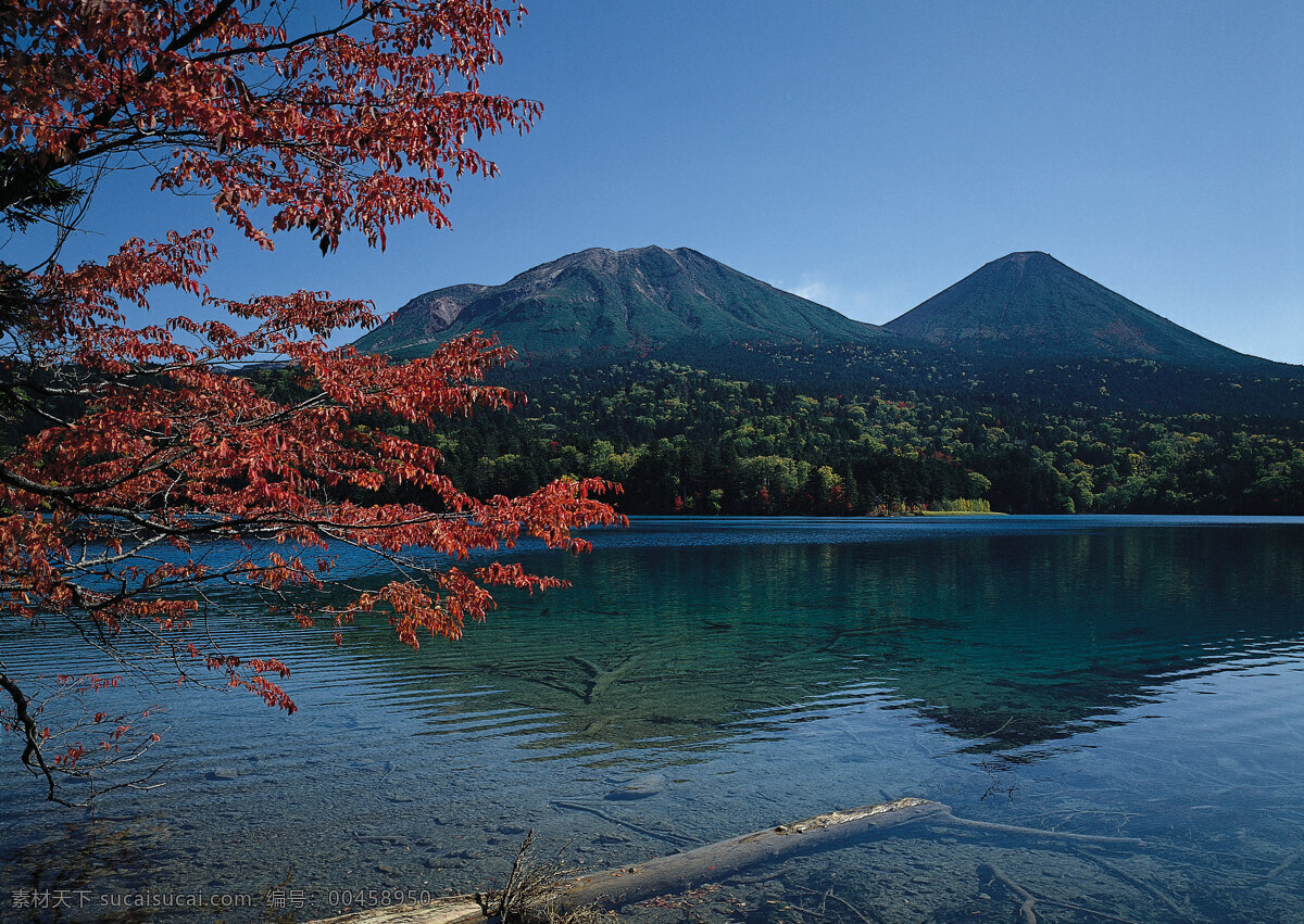 山水 景观 高清风景图片 海浪 海水 湖水 林荫 秋天树林 森林 沙滩 山 山水图 四季风光素材 树林 树枝 树干 家居装饰素材 山水风景画