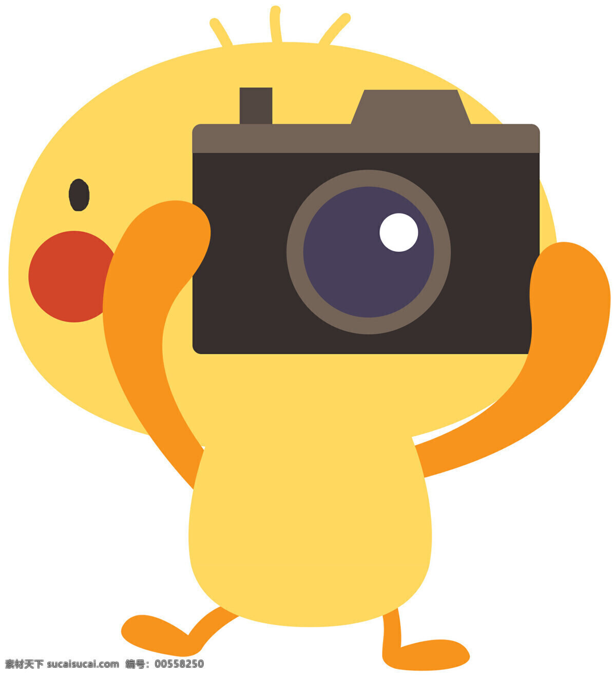 小鸡照相 小鸡 卡通 相机 家禽家畜 生物世界