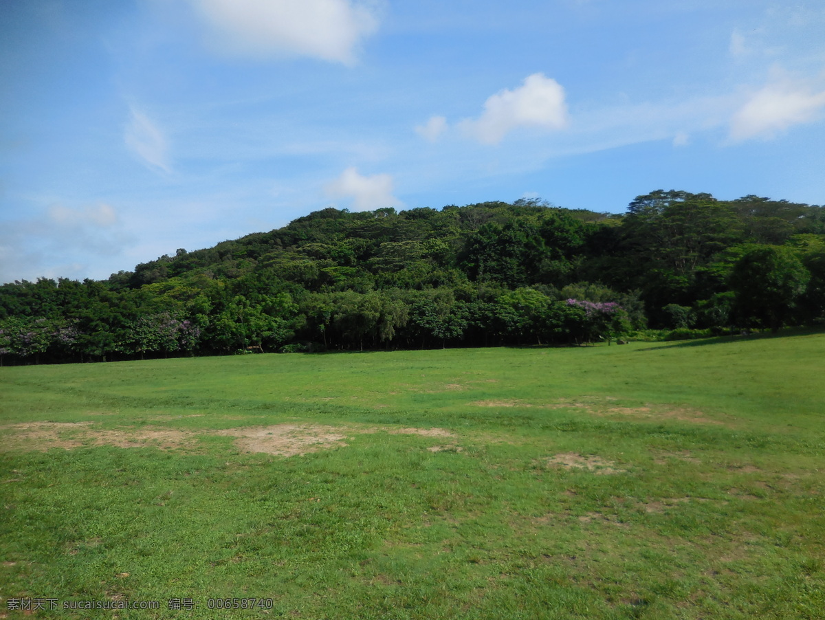 草地 草坪 绿草 草皮 自然风光 公园 园林风景 植被 树木 环保 树林草地 林中草地 大树 绿树 绿化 莲花山 蓝天白云 蓝天 白云 阳光 自然景观3 自然景观 自然风景