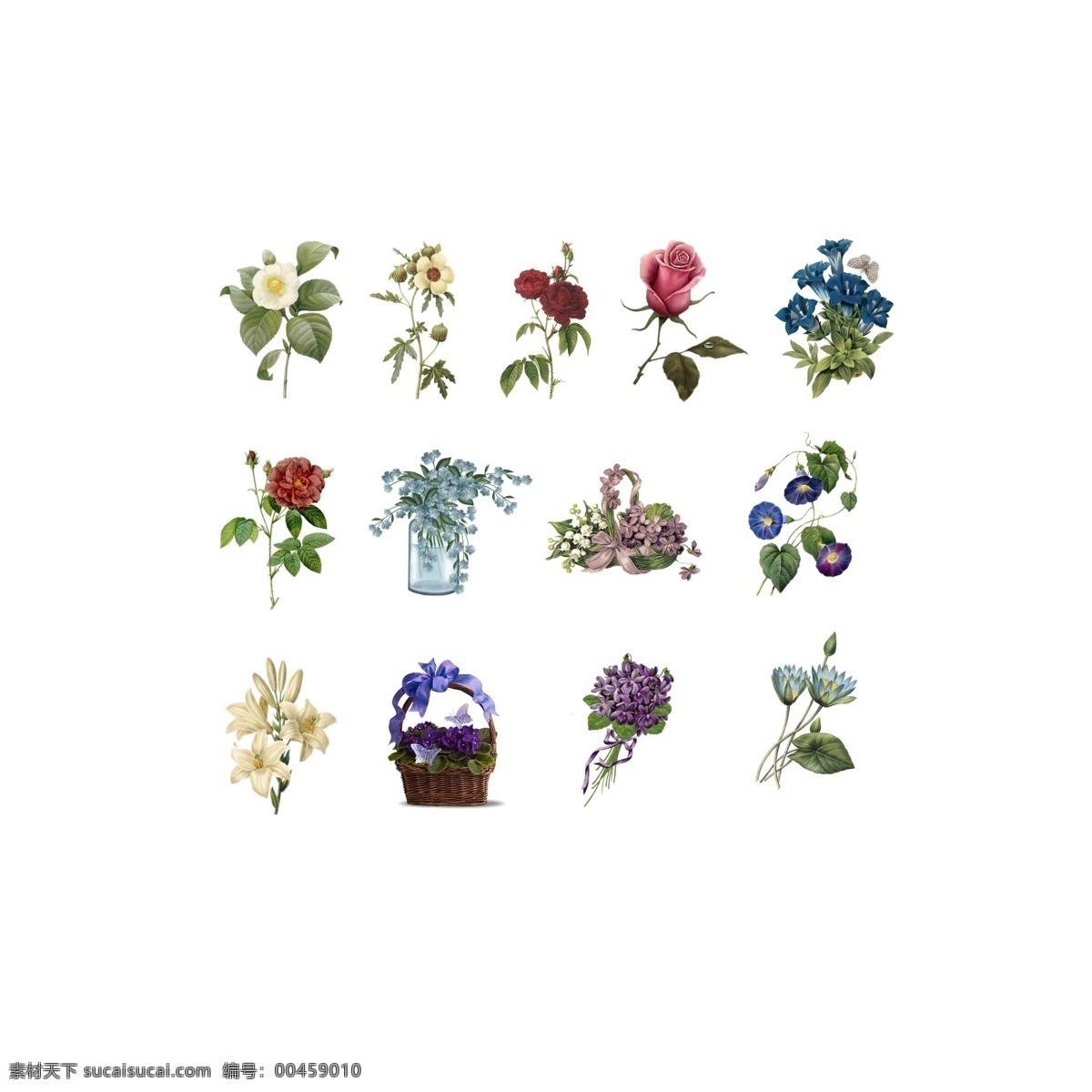 复古花 复古 花篮 百合 牵牛 玫瑰 手绘 花束 源文件
