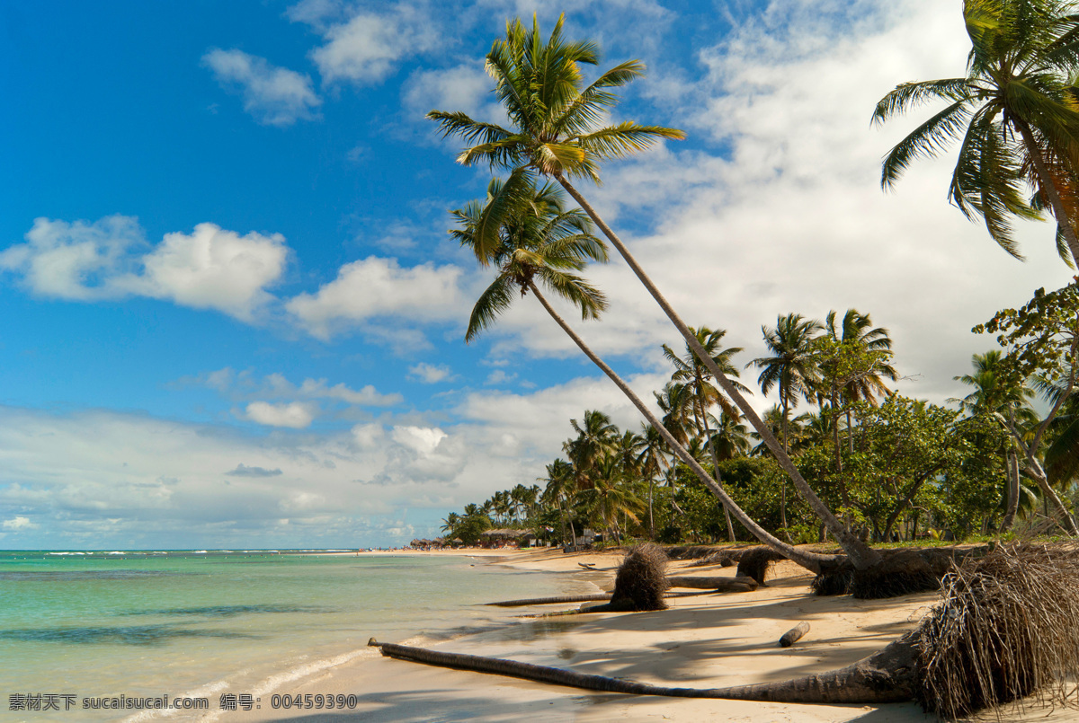 景色 自然风景 椰子树 大海边 海南风光 海南 沙滩 热带沙滩 海边 海边风景 热带 风景摄影 自然景观 黑色