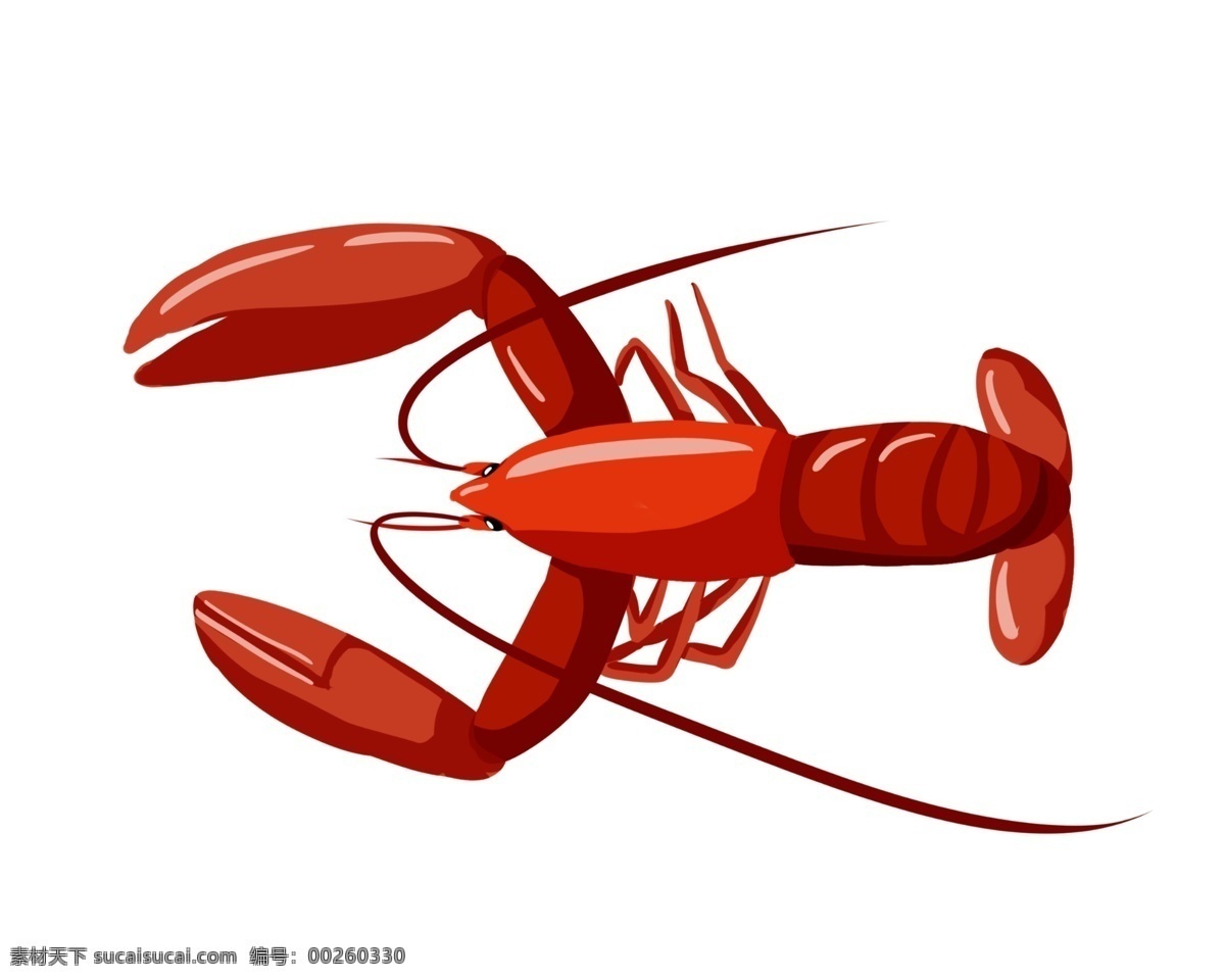 游泳 小 龙虾 插画 游泳的龙虾 卡通插画 龙虾插画 动物插画 淡水龙虾 深海龙虾 弯折的蟹钳