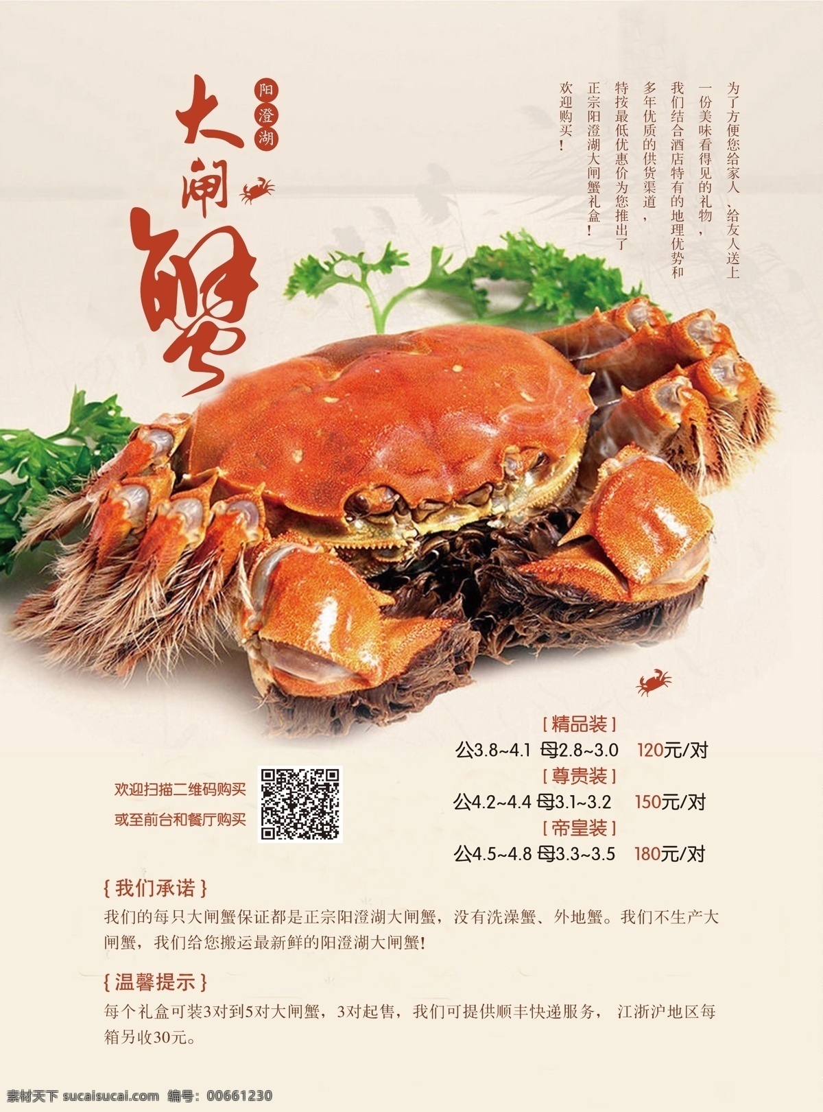 大闸蟹 大闸蟹美食 大闸蟹海报 大闸蟹海鲜 大闸蟹展架 大闸蟹包装 大闸蟹背景 大闸蟹素材 大闸蟹特产 大闸蟹文化 大闸蟹宣传 大闸蟹吃法 阳澄大闸蟹 阳澄湖大闸蟹 大闸蟹画册 大闸蟹广告 大闸蟹礼品 清蒸大闸蟹 大闸蟹小吃 大闸蟹水产 大闸蟹鲜活