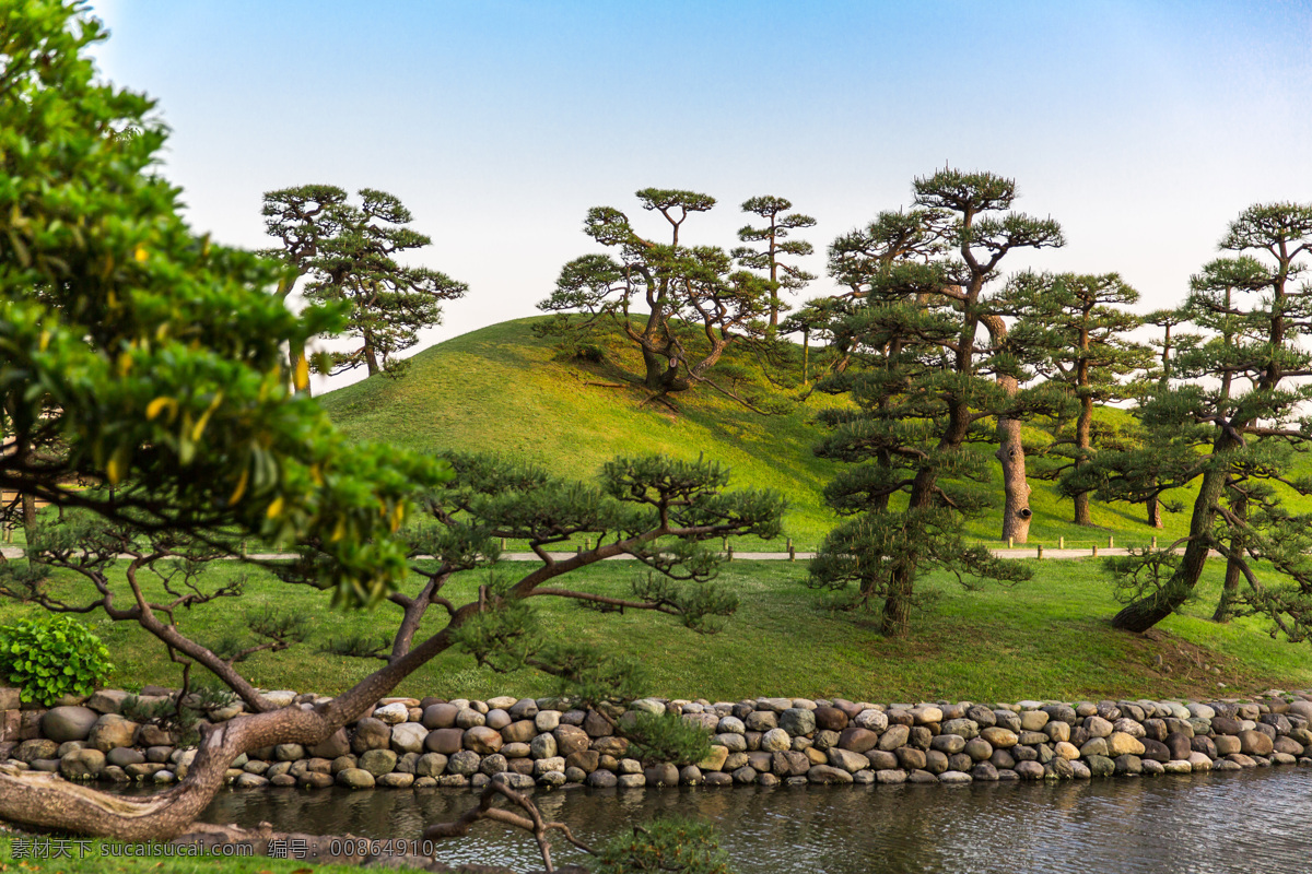 景观树木风景 日本花园风景 日本风光 美丽风景 公园景色 公园风景 花园美景 自然风景 自然景观 黑色